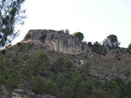 Rambla Perea-Mula 2018